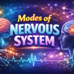 Modes of nervous system