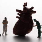 What is meant by slow heart